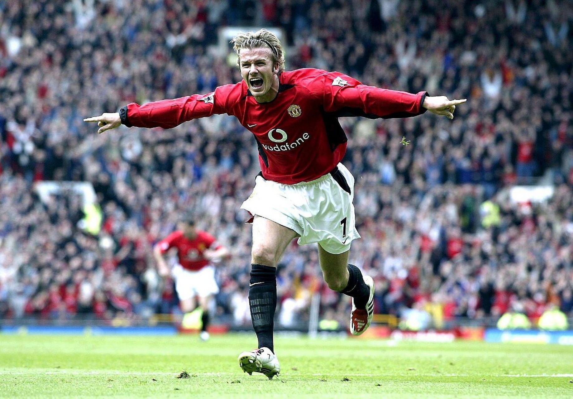 Hitea茶室-让消费者尽兴体验茶饮